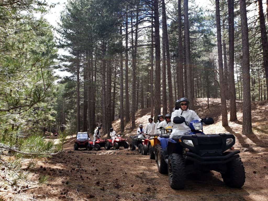 Quad tour gruppo Etna Nord Bosco Ragabo