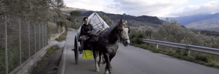 Carretto Siciliano - OndaTV