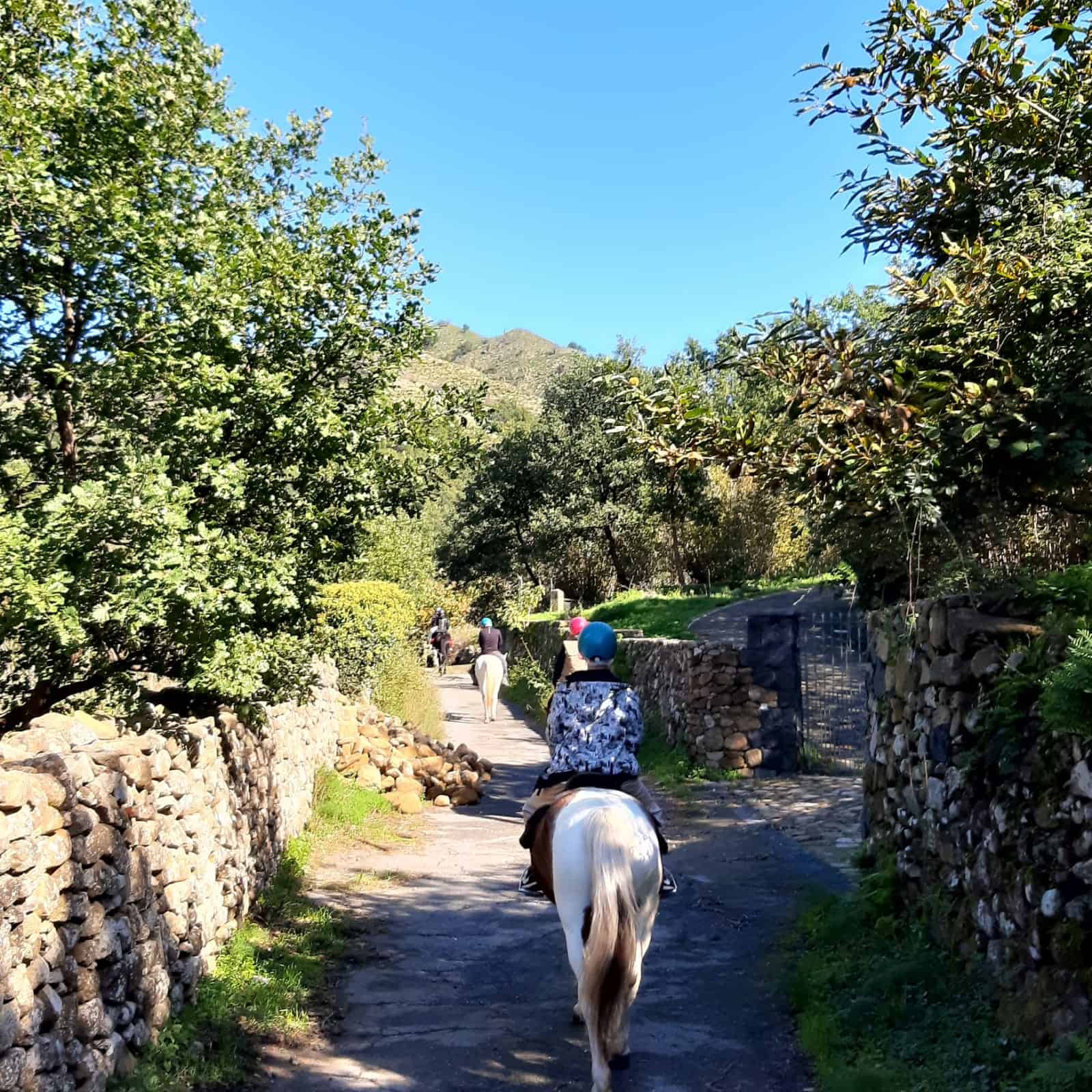 Passeggiata a cavallo Linguaglossa - Etna