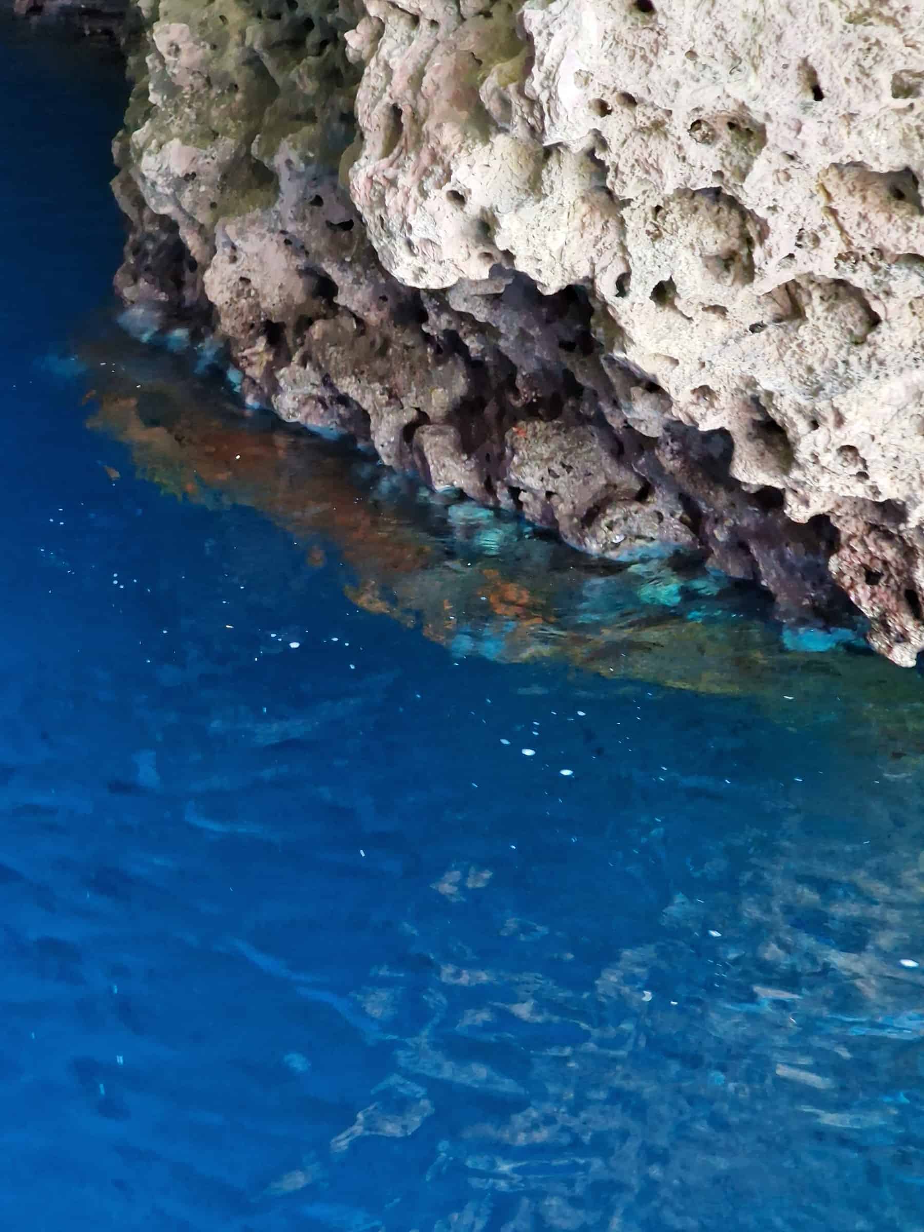 Mare azzurro corrallo grotta Azzurra