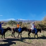 Etna Donkey trekking asino Linguaglossa