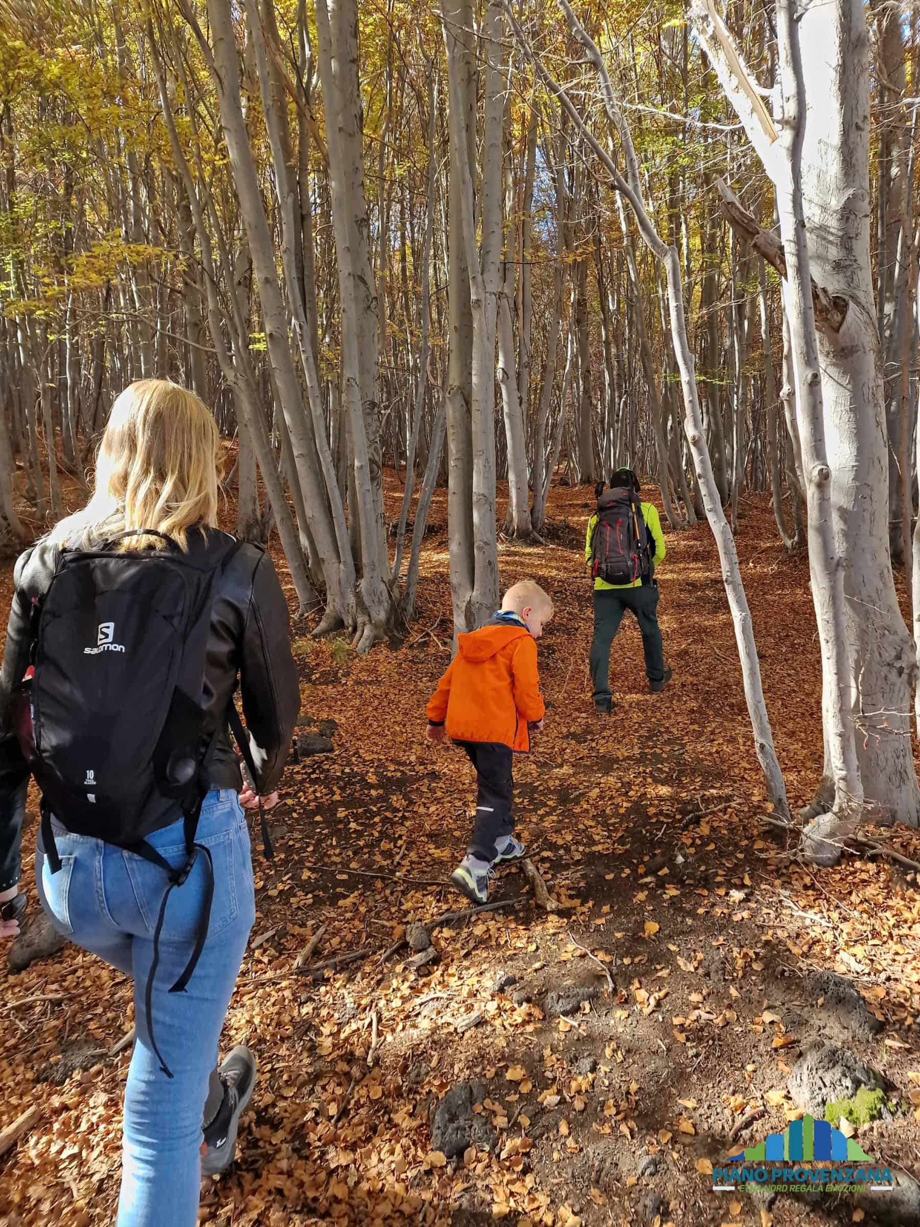 bosco timparossa faggeta etna nord hike